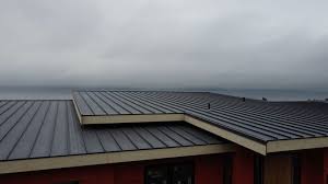 Best Green or Eco-Friendly Roofing Solutions  in Rushville, NE